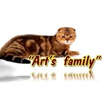 Питомник шотландских вислоухих кошек Art's Family